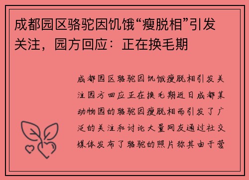 成都园区骆驼因饥饿“瘦脱相”引发关注，园方回应：正在换毛期