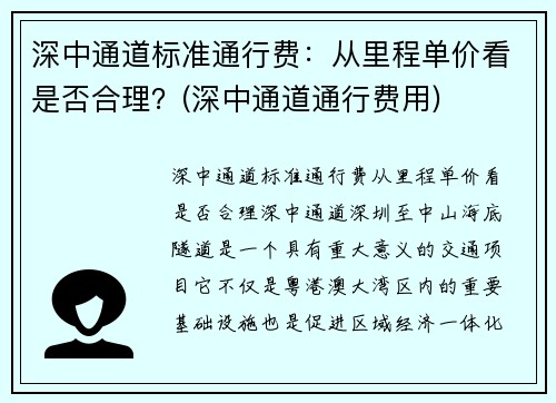深中通道标准通行费：从里程单价看是否合理？(深中通道通行费用)