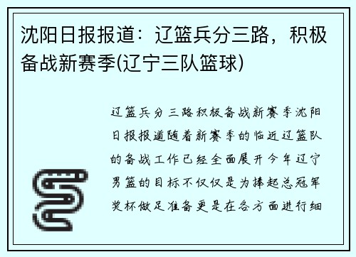 沈阳日报报道：辽篮兵分三路，积极备战新赛季(辽宁三队篮球)