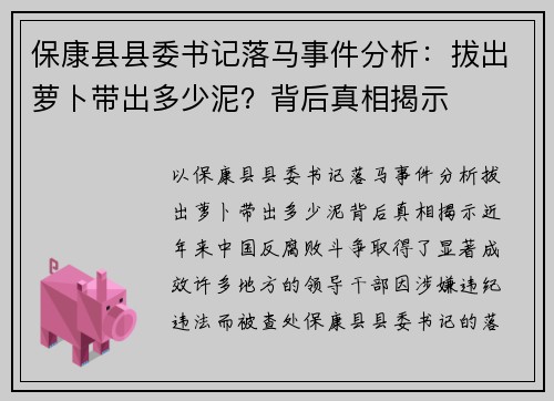 保康县县委书记落马事件分析：拔出萝卜带出多少泥？背后真相揭示